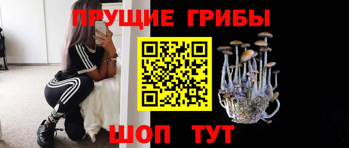 Галлюциногенные грибы Magic Shrooms  Псилоцибиновые грибы прущие грибы  Вход с VPN  Алексин 